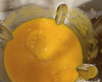 paletas-de-hielo-de-mango-receta-licuar